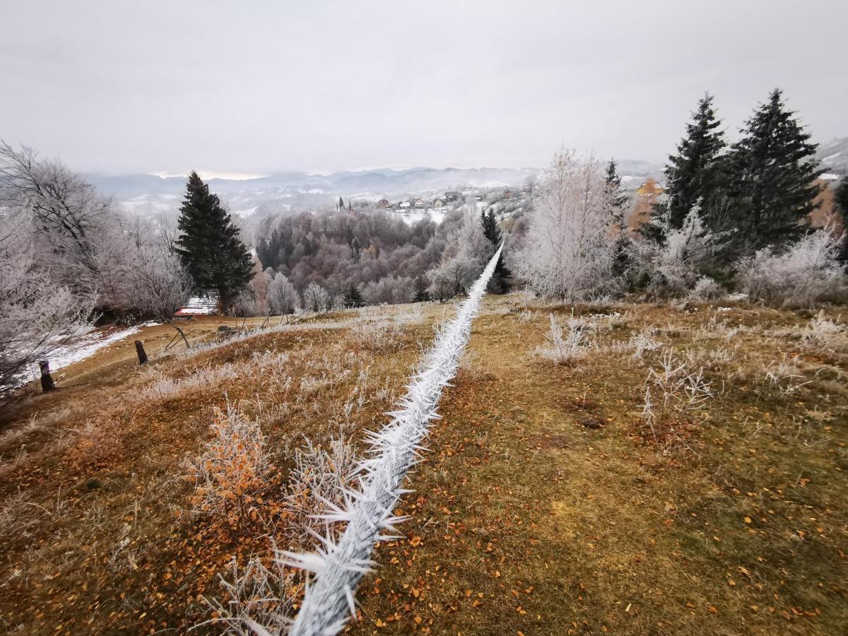 Pensiunea Tabacaru Peștera Bagian luar foto