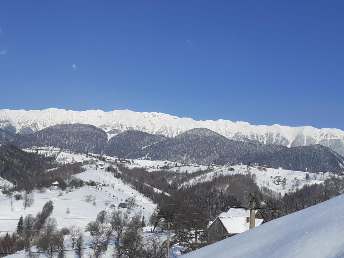 Pensiunea Tabacaru Peștera Bagian luar foto