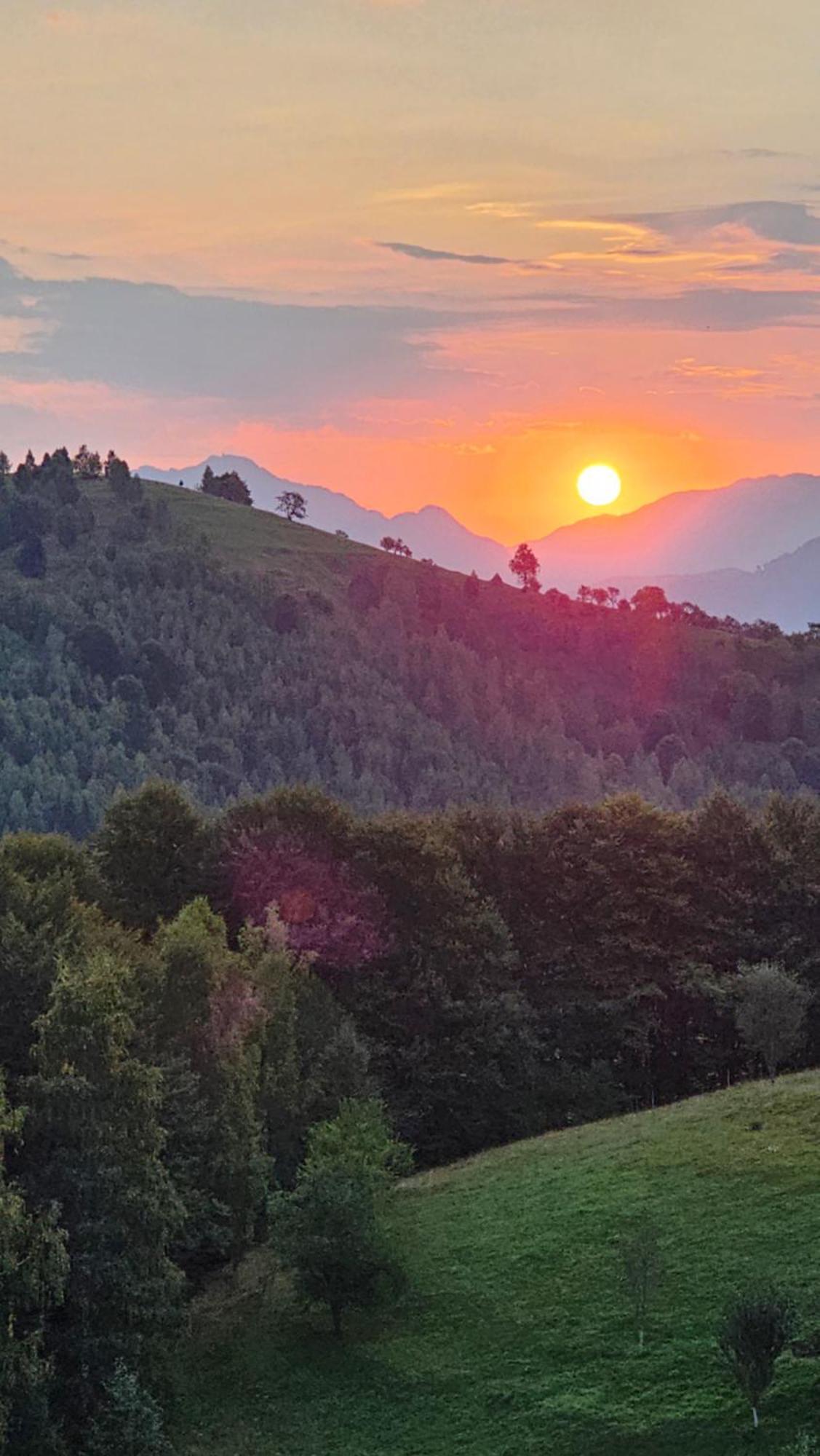 Pensiunea Tabacaru Peștera Bagian luar foto