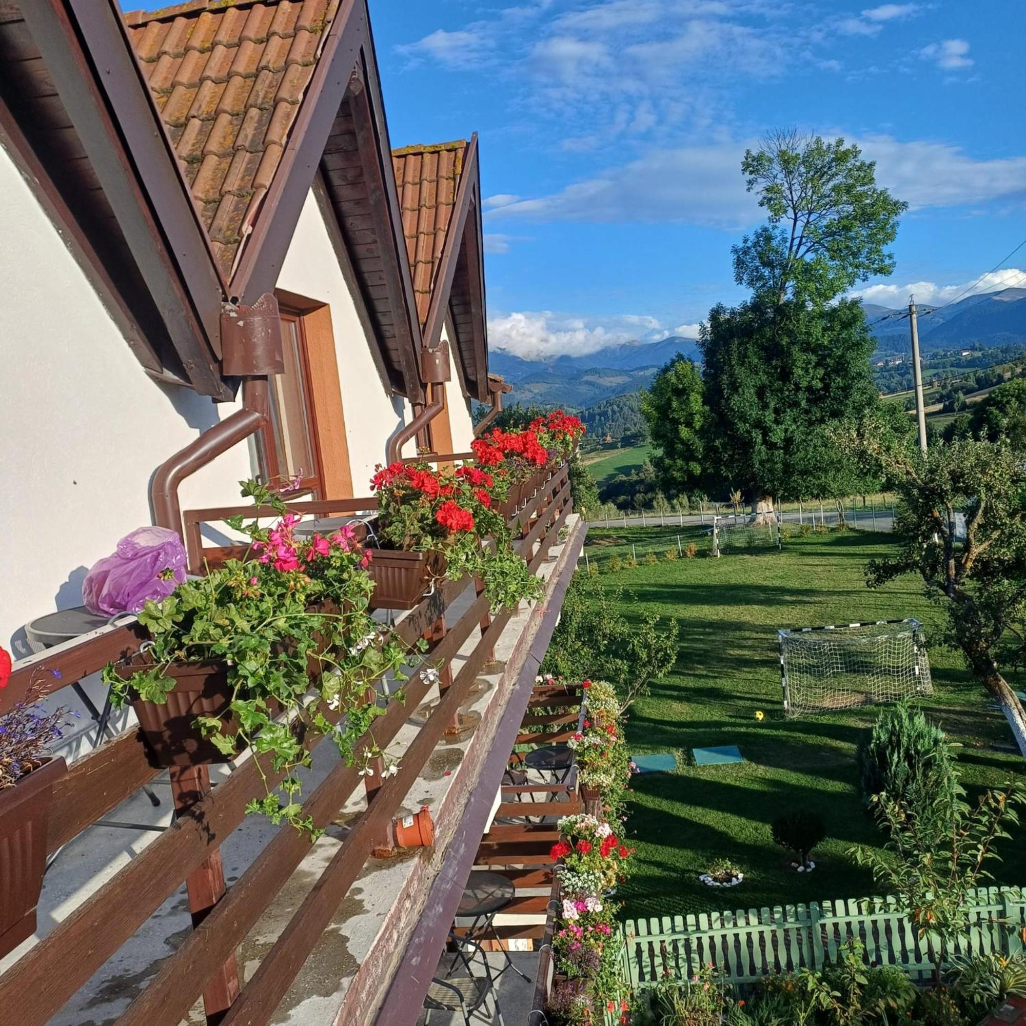 Pensiunea Tabacaru Peștera Bagian luar foto