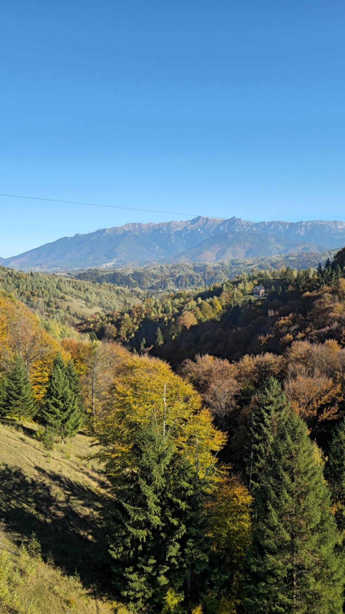 Pensiunea Tabacaru Peștera Bagian luar foto