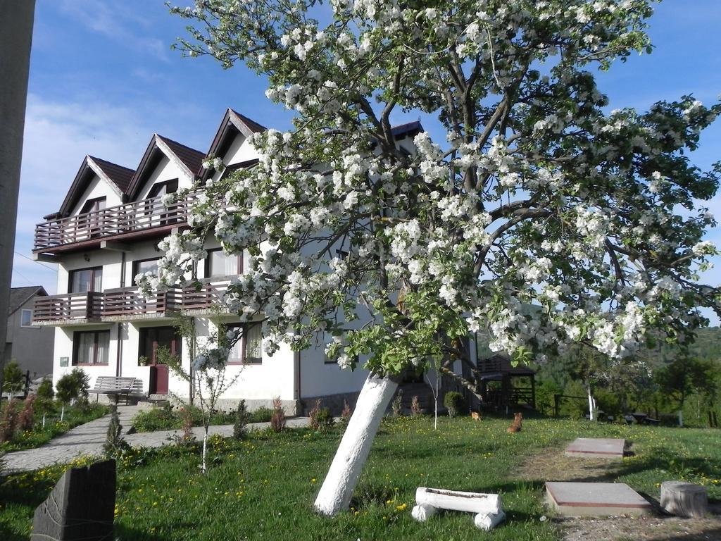 Pensiunea Tabacaru Peștera Bagian luar foto