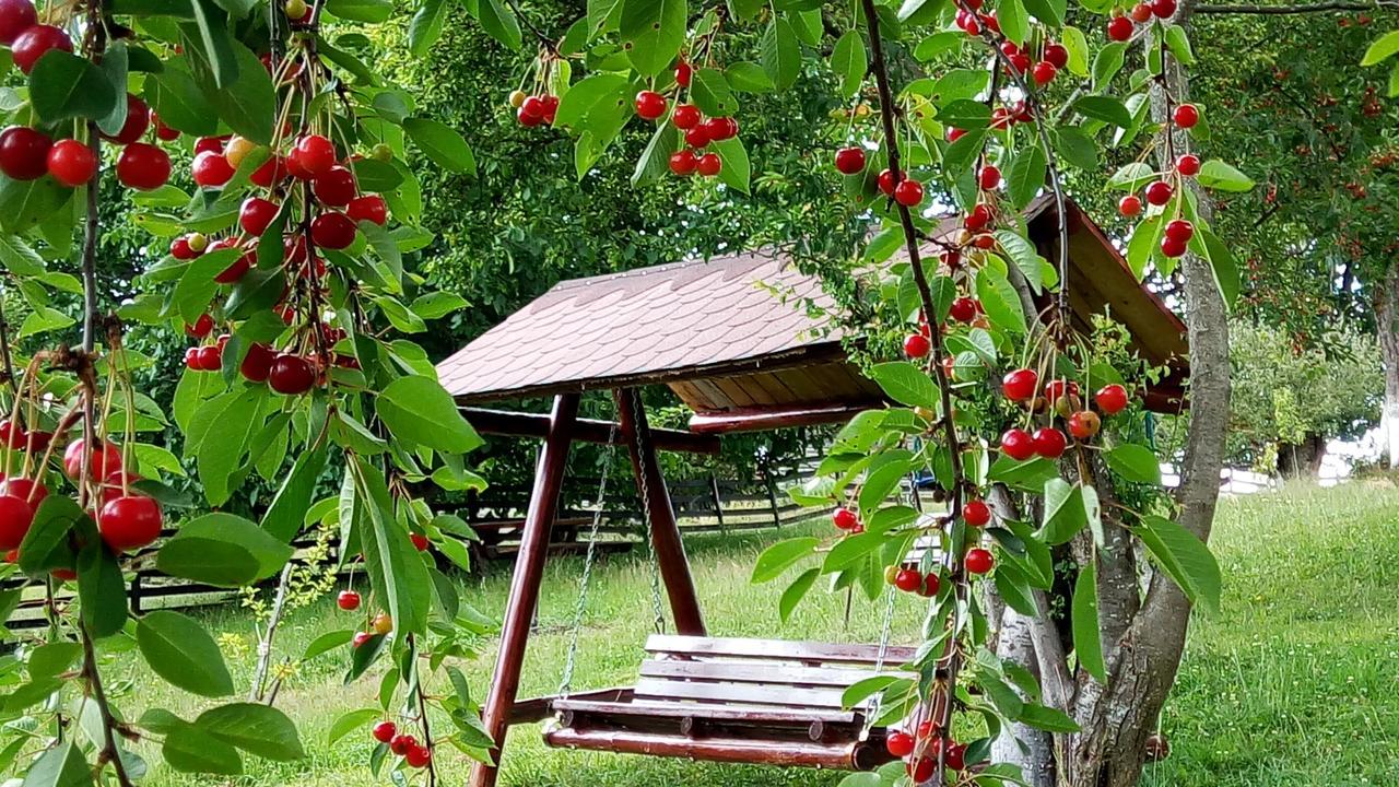 Pensiunea Tabacaru Peștera Bagian luar foto