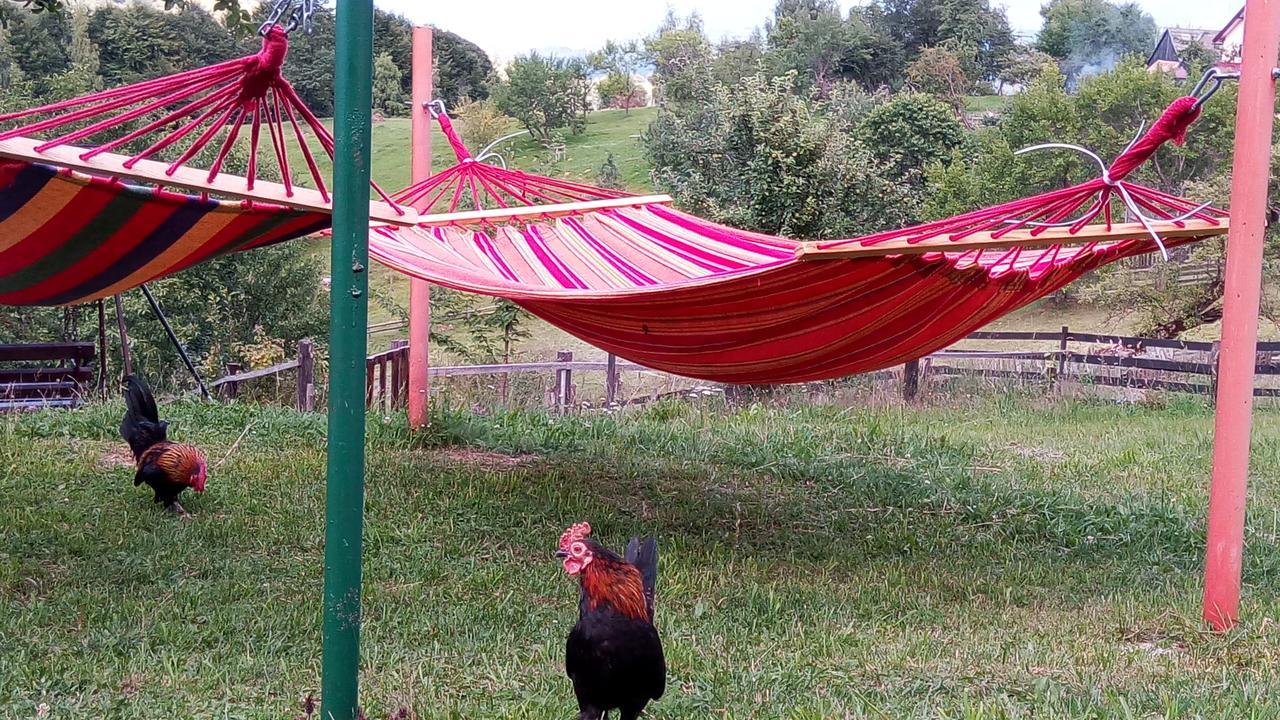 Pensiunea Tabacaru Peștera Bagian luar foto