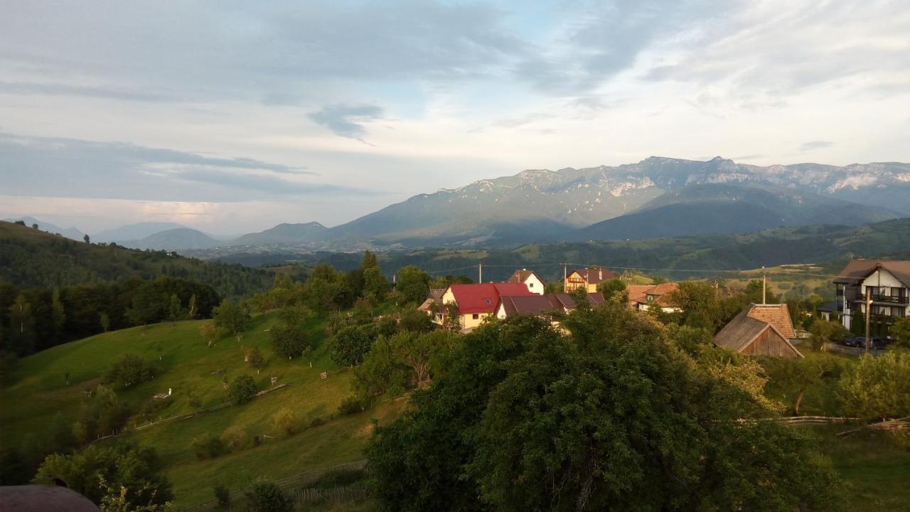 Pensiunea Tabacaru Peștera Bagian luar foto