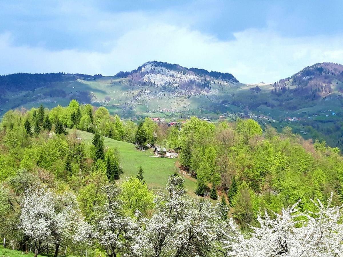 Pensiunea Tabacaru Peștera Bagian luar foto