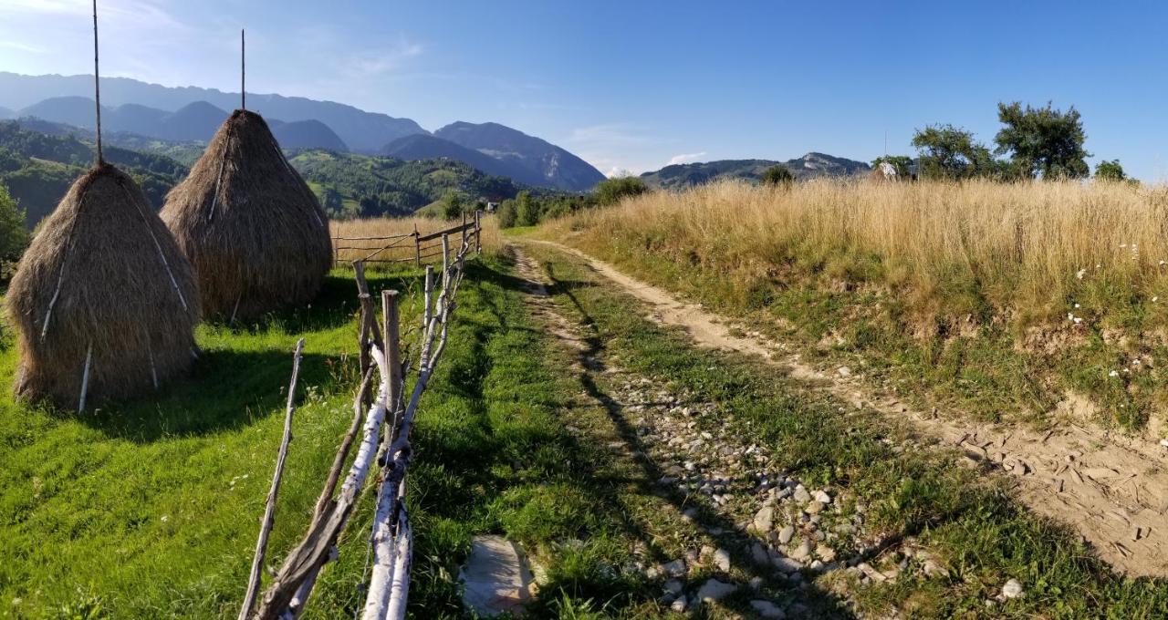 Pensiunea Tabacaru Peștera Bagian luar foto