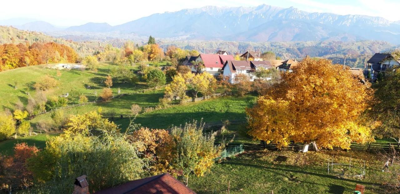 Pensiunea Tabacaru Peștera Bagian luar foto